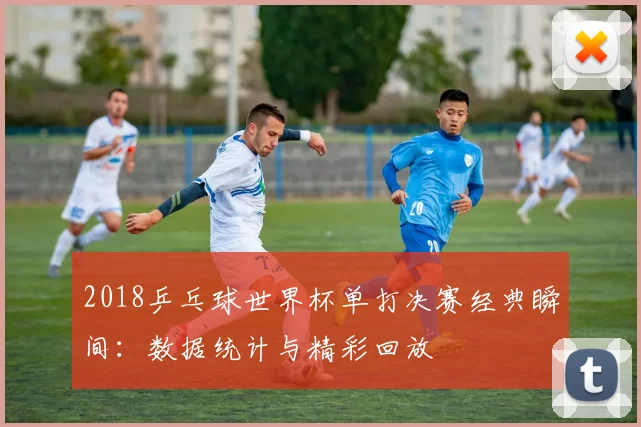 2018乒乓球世界杯单打决赛经典瞬间：数据统计与精彩回放