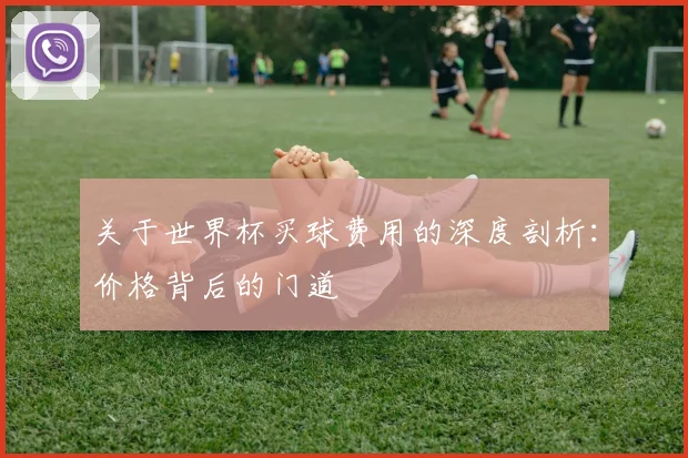 关于世界杯买球费用的深度剖析：价格背后的门道