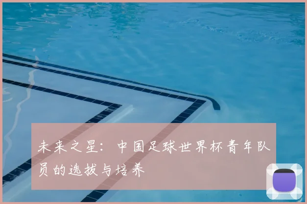 未来之星：中国足球世界杯青年队员的选拔与培养