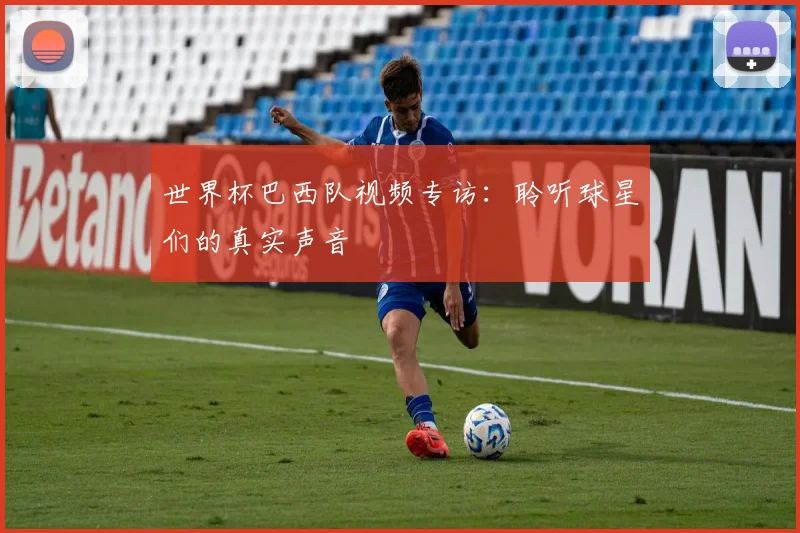 世界杯巴西队视频专访:聆听球星们的真实声音