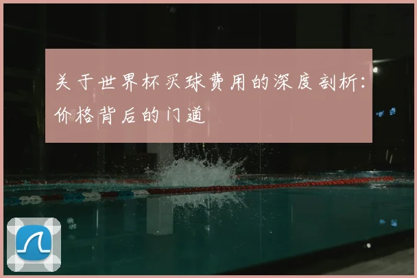 关于世界杯买球费用的深度剖析：价格背后的门道