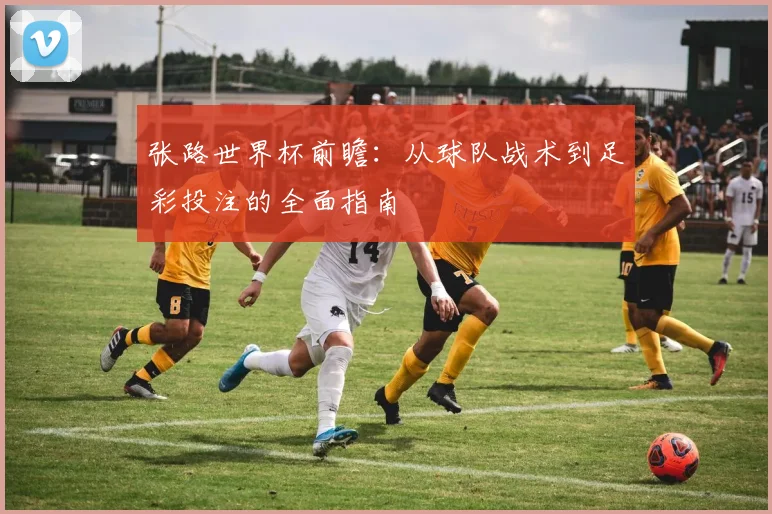 张路世界杯前瞻:从球队战术到足彩投注的全面指南