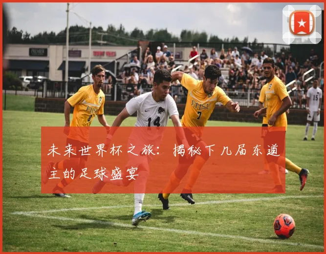 未来世界杯之旅：揭秘下几届东道主的足球盛宴