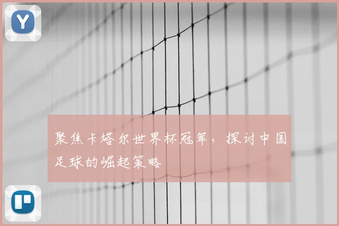 聚焦卡塔尔世界杯冠军，探讨中国足球的崛起策略