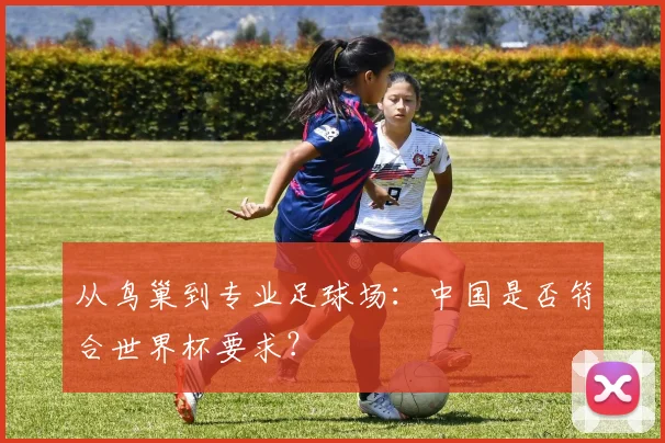 从鸟巢到专业足球场:中国是否符合世界杯要求?
